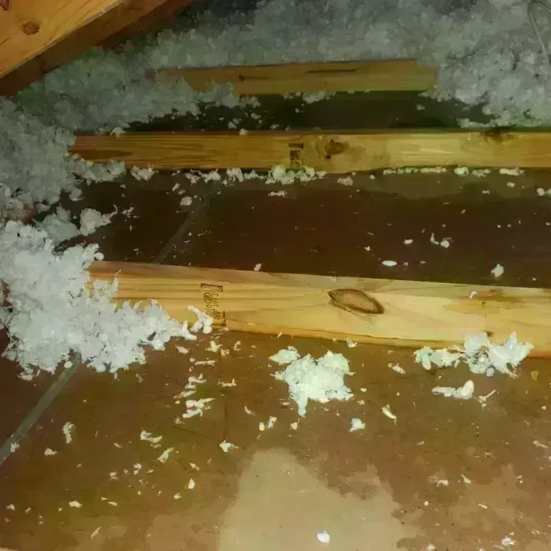 Attic Water Damage in Archer Lodge, NC